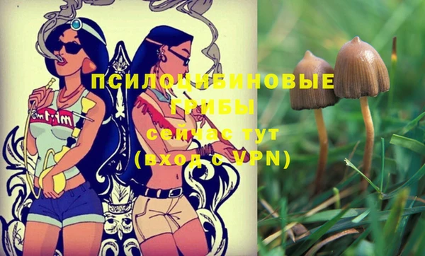 первитин Михайловск