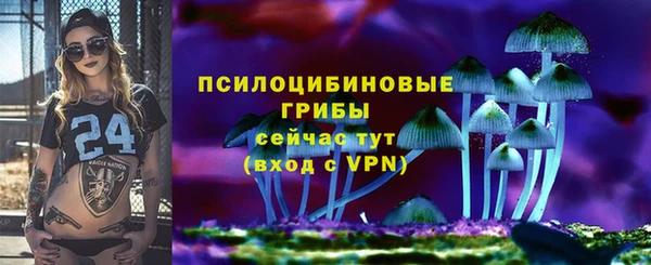 MDMA Premium VHQ Михайловка