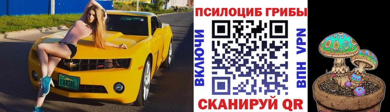 Галлюциногенные грибы Magic Shrooms  Георгиевск 