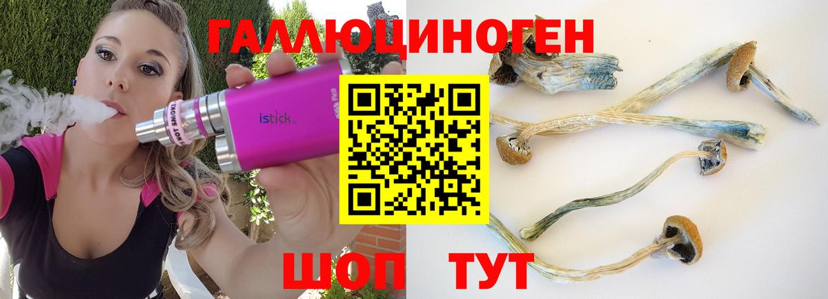 Георгиевск  Псилоцибиновые грибы Magic Shrooms  цена   Псилоцибиновые грибы Psilocybe  Вход с VPN 